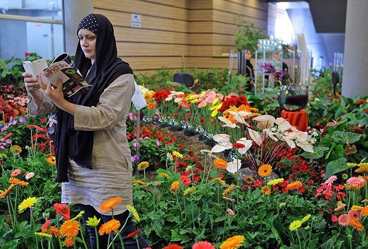 طرح توجيهي کشت گل و گیاهان زینتی در فضای باز -فرصت سرمايه گذاري١٠٤