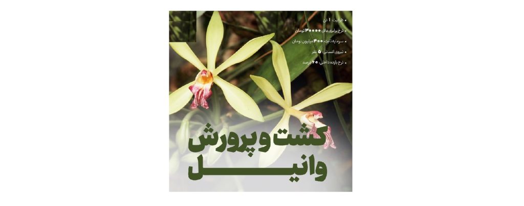 کشت و پرورش وانیل