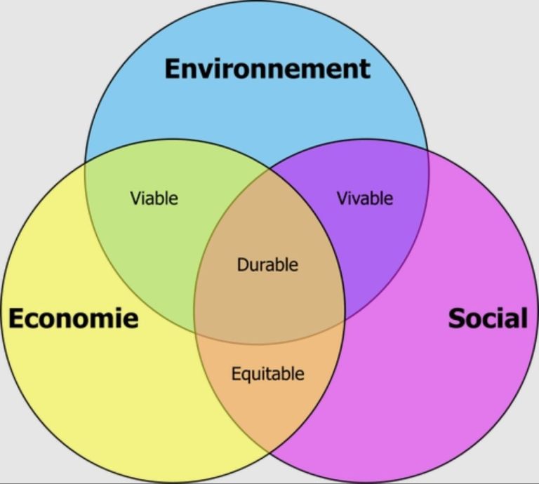 تفاوت viable و durable چیست